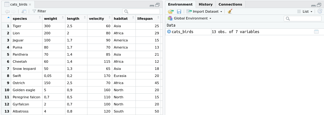 Table preview with data in RStudio.