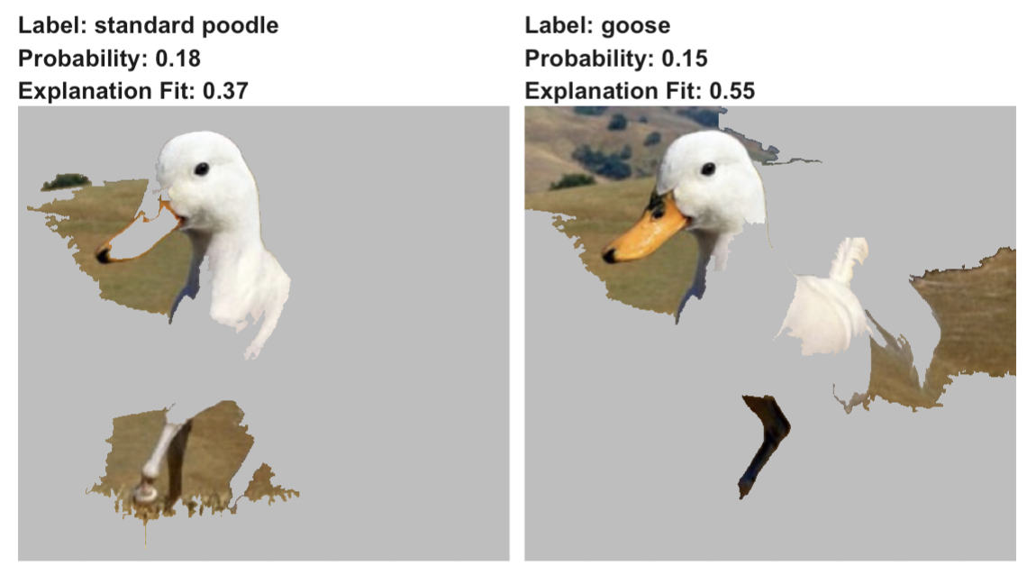 LIME for two predictions (‘standard poodle’ and ‘goose’) obtained by the VGG16 network with ImageNet weights for the half-duck, half-horse image.