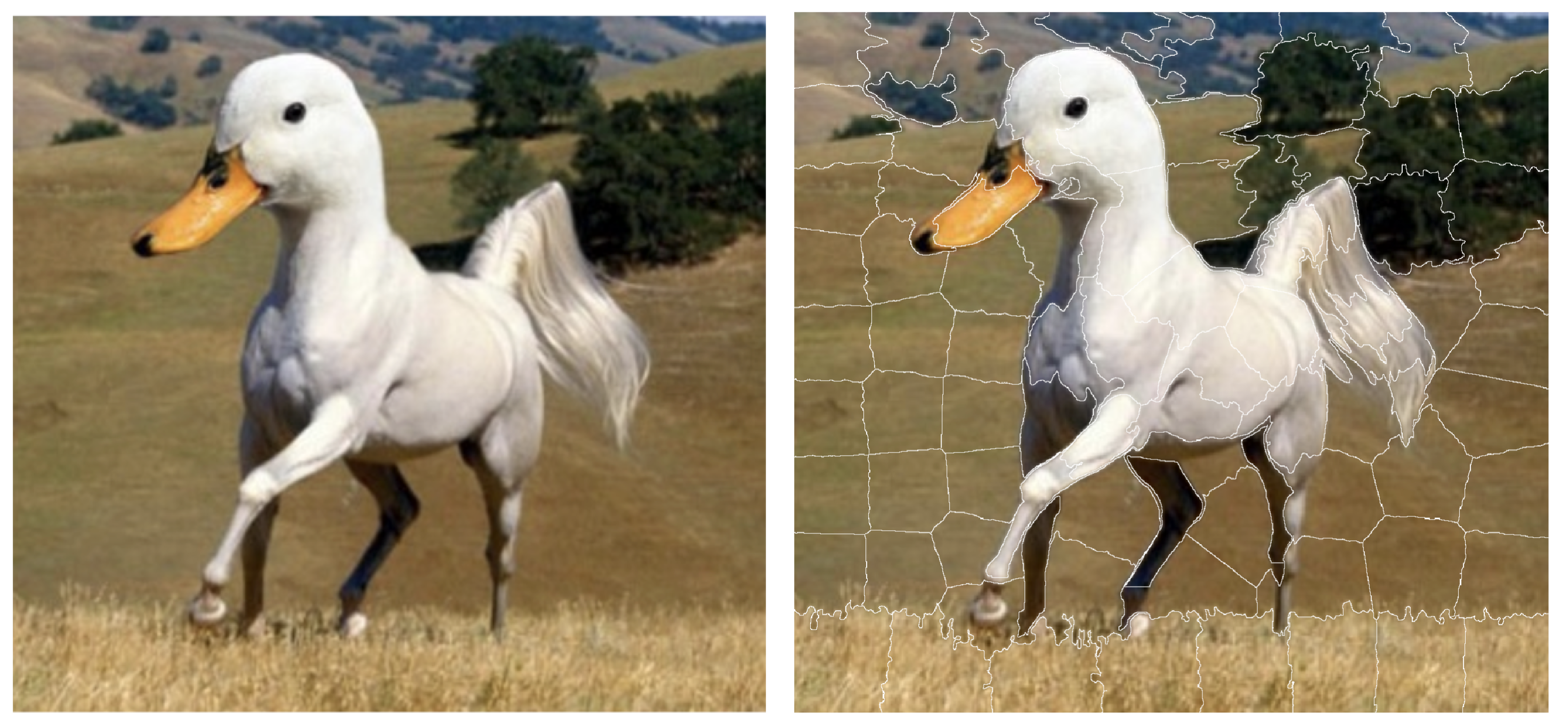The left-hand-side panel shows an ambiguous picture, half-horse and half-duck (source Twitter). The right-hand-side panel shows 100 superpixels identified for this figure.